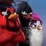Angry Birds Evolution 2022 (MOD Sát thương cao)