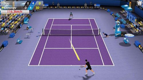 3D Tennis mod vô hạn tiền